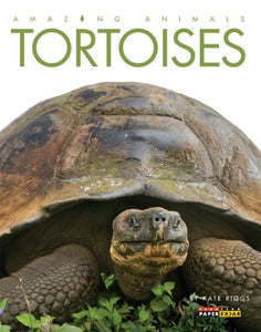 Amazing Animals: Tortoises 