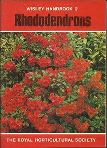 Rhododendrons 