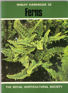 Ferns 