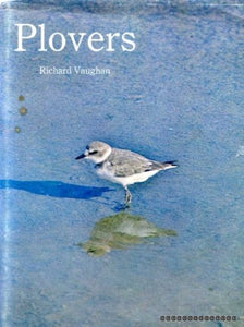 Plovers 