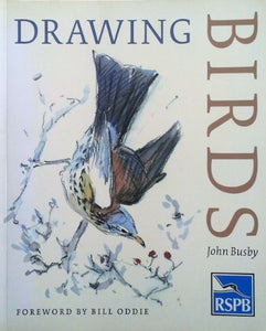 Drawing Birds 