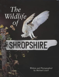 The Wildlife in Shropshire 