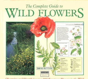 The complete guide to wild flowers 