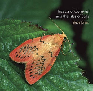 Insects of Cornwall and the Isles of Scilly 