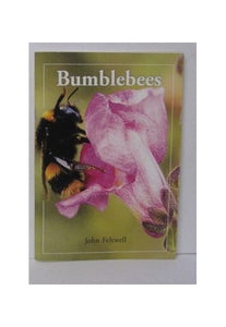 Bumblebees 