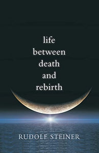 Life Between Death and Rebirth 