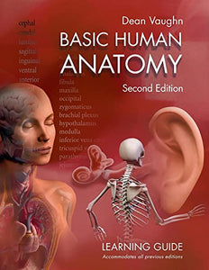 Basic Human Anatomy 