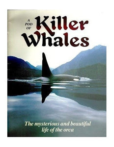 Pod of Killer Whales 