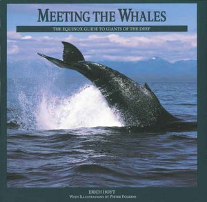 Meeting the Whales 