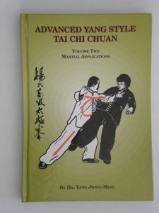 Advanced Yang Style Tai Chi 2 