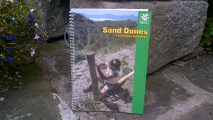 Sand Dunes 