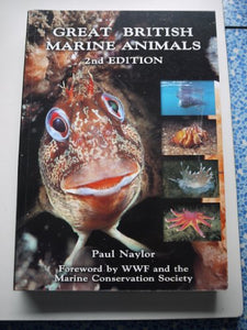 Great British Marine Animals 