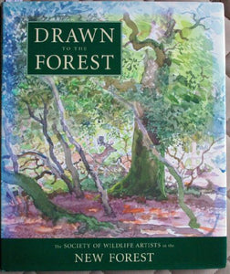 Drawn to the Forest 