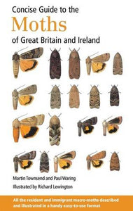 Concise Guide to the Moths of Great Britain and Ireland 