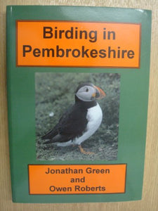 Birding in Pembrokeshire 