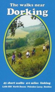 The Walks near Dorking 