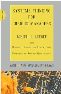 Systems Thinking for Curious Managers 