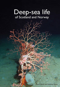 Deep-Sea Life of Scotland and Norway 