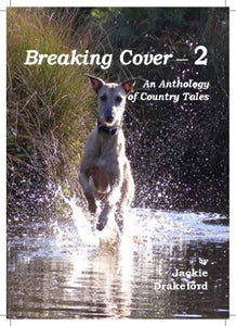 Breaking Cover - 2 