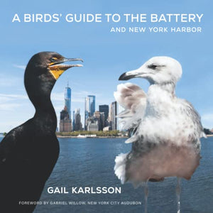 A Birds' Guide to The Battery and New York Harbor 