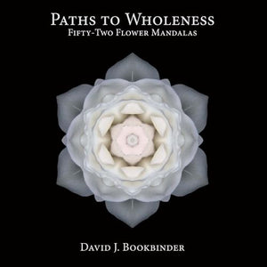 Paths to Wholeness 