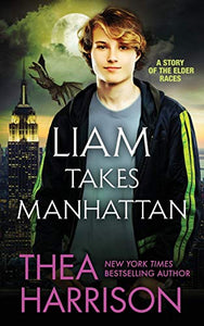 Liam Takes Manhattan 