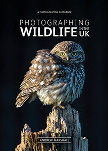 Photographing Wildlife in the UK 