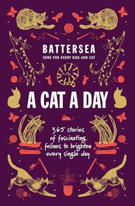 Battersea Dogs and Cats Home - A Cat a Day 