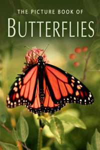 The Picture Book of Butterflies 