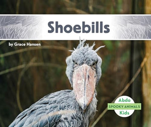 Shoebills 