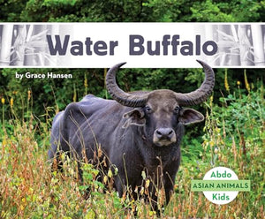 Water Buffalo 