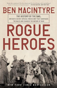 Rogue Heroes 