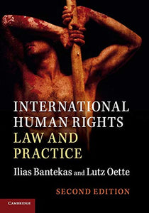 International Human Rights Law and Practice 