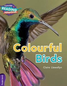 Cambridge Reading Adventures Colourful Birds Purple Band 