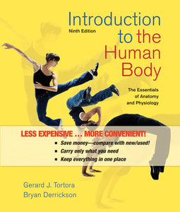 Introduction to the Human Body 