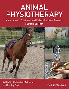 Animal Physiotherapy 