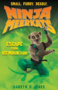 Escape from Ice Mountain 