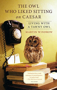 The Owl Who Liked Sitting on Caesar 