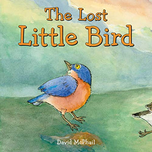 The Lost Little Bird 