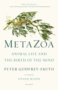 Metazoa 