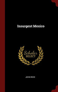 Insurgent Mexico 