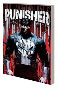 Punisher Vol. 1 