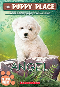 Angel (the Puppy Place #46) 