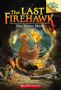 The Secret Maze: A Branches Book (the Last Firehawk #10) 