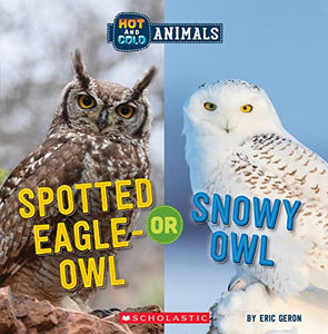 Spotted Eagle-Owl or Snowy Owl (Wild World: Hot and Cold Animals) 