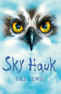 Rollercoasters: Sky Hawk 