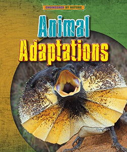 Animal Adaptations 