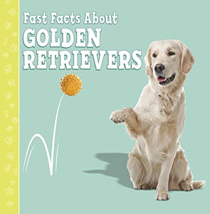 Fast Facts About Golden Retrievers 