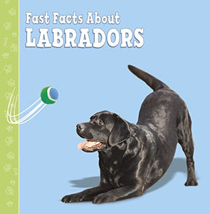 Fast Facts About Labradors 