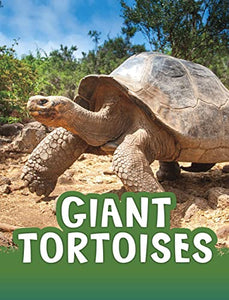 Giant Tortoises 